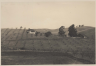 Grubb home, Pacheco