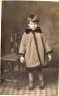 Evelyn Shneck